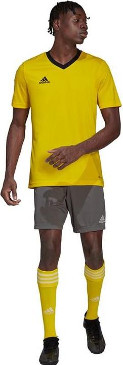 Actual product image Adidas Entrada 22 Football Shirt Men (S)