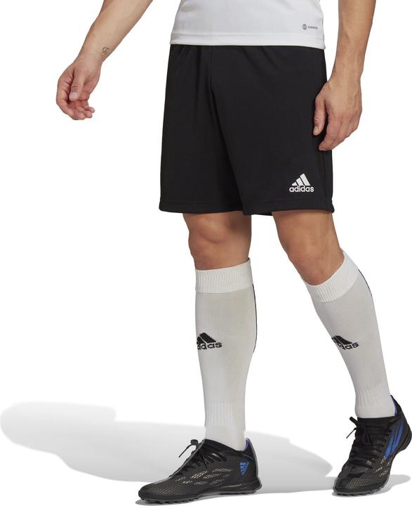 Produktbild adidas Entrada 22 Trainingsshort Herren (S)