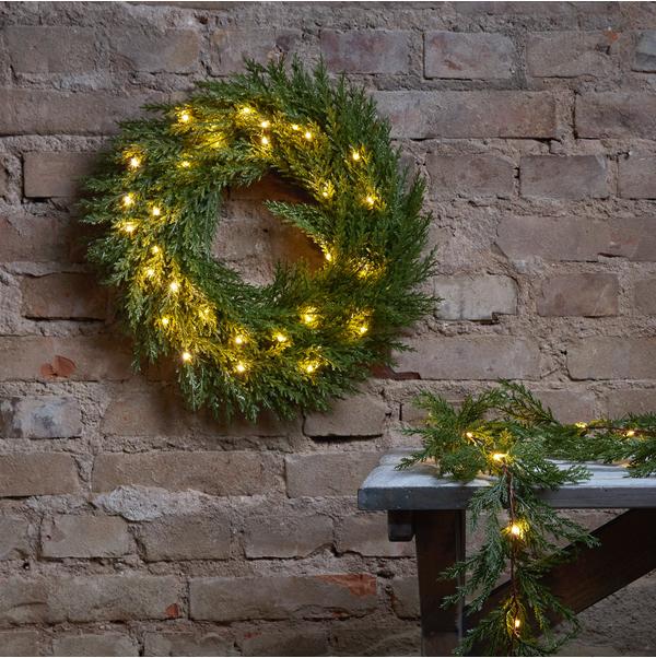 Produktbild Star Trading Thuja