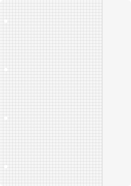 Actual product image Brunnen Ring binder inserts chequered