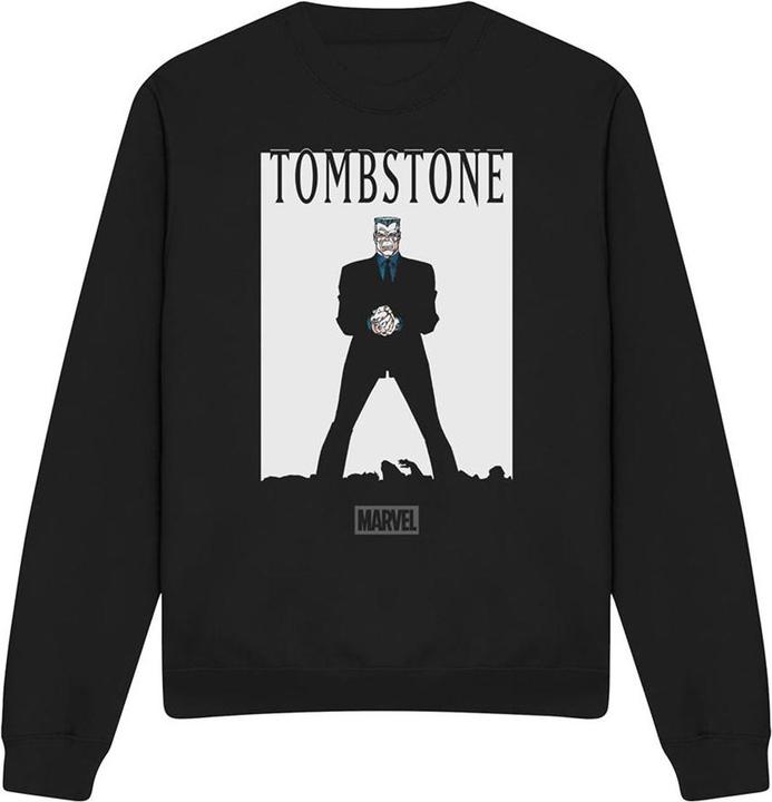 Produktbild Spiderman Sweatshirt (XXL)