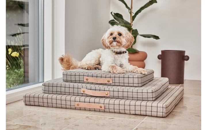 Immagine prodotto Oyoy Milo (Cane)