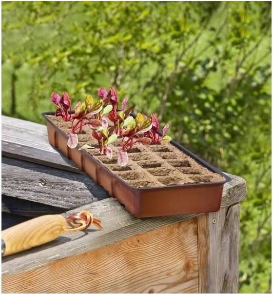 Actual product image Windhager Window sill greenhouse