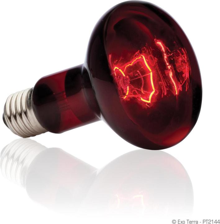 Actual product image Exo Terra Infrared Basking Spot R25/100W