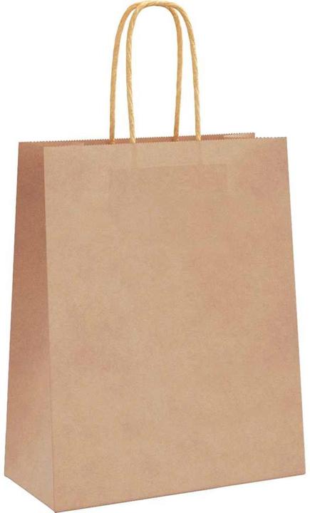 Image du produit vidaXL Sacs en papier kraft 250 pcs. avec anse Marron 18x8x22 cm Sac en papier (250x)