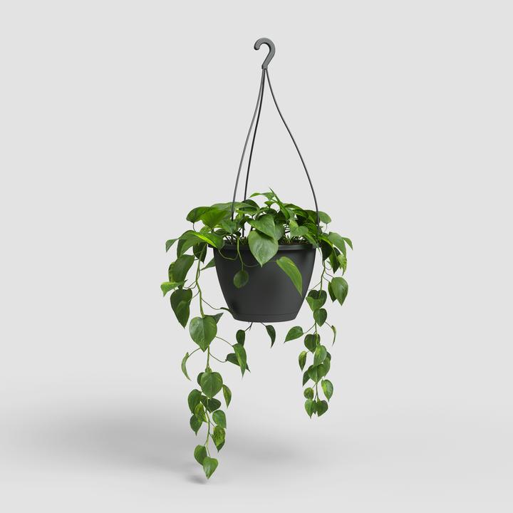 Produktbild Artevasi Algarve Hanging Basket (31 x 31 x 20.50 cm)