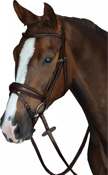Image du produit Weatherbeeta Collegiate Mono Crown