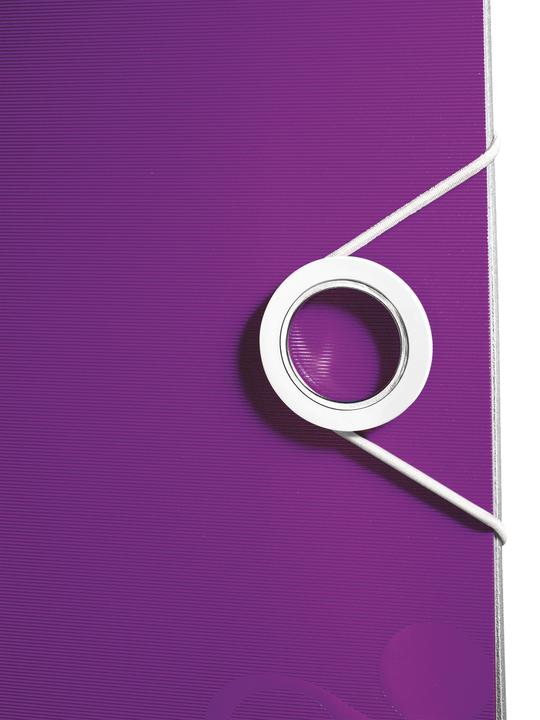 Immagine prodotto Leitz WOW 180° Attivo (A4, 80 mm, 1 Pezzo/i)