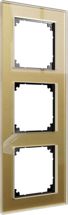 Actual product image Merten MEG4030-2341 Real glass frame 3F