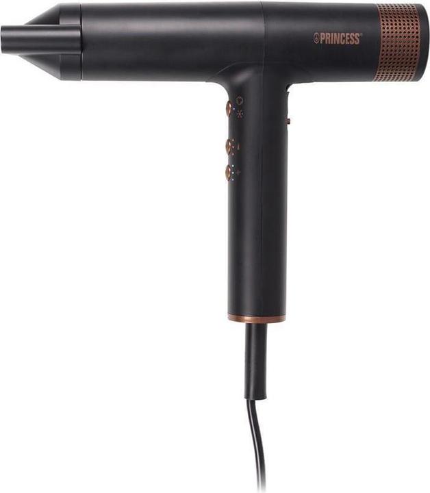 Princess 529205 (2000 W)