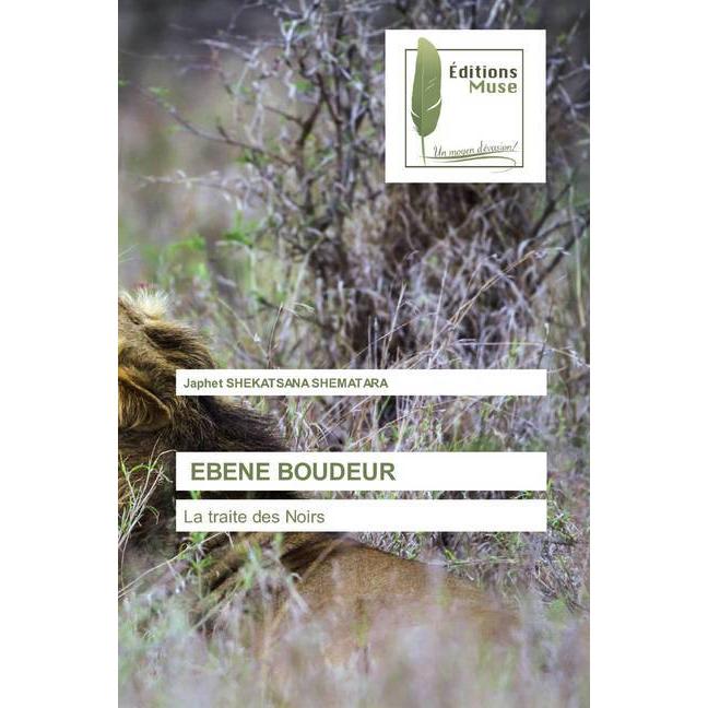 Ebene Boudeur, Belletristik von Japhet SHEKATSANA SHEMATARA