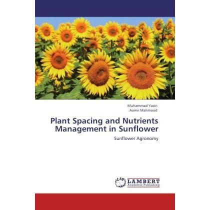 Plant Spacing and Nutrients Management in Sunflower, Fachbücher von Muhammad Yasin, Aamir Mahmood