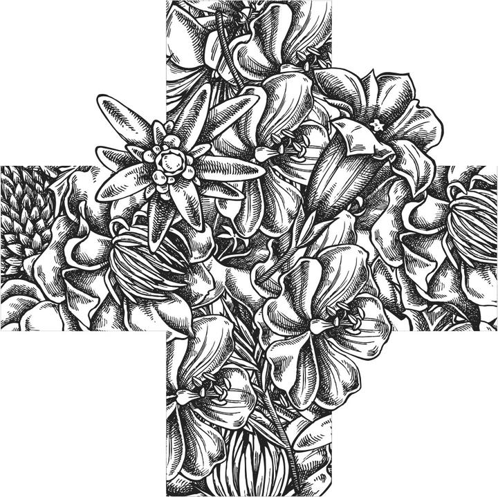 Immagine prodotto Orsino Maglietta Bluemä Chrüz Unisex (XS)