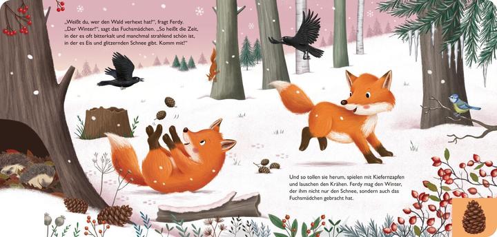 Actual product image My First Book of the Seasons: Ferdy the Little Fox (German)