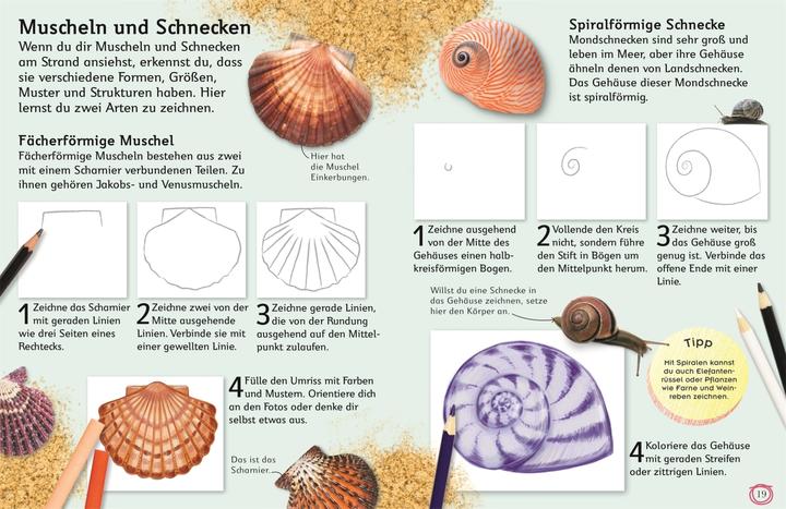 Actual product image Zeichnen lernen