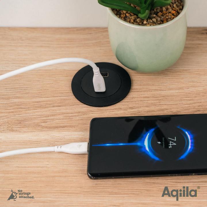 Image du produit Aqiila Cablebird CS12 - Câble USB-C vers USB-C en silicone, 60W (2m) - Blanc (2 m, USB 2.0, 60 W)