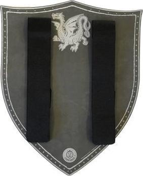 Produktbild Liontouch Schild Bernsteindrachen