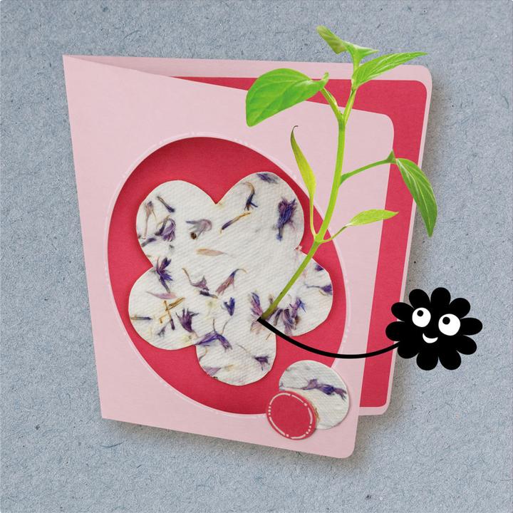 Produktbild Kosmos Blühendes Papier