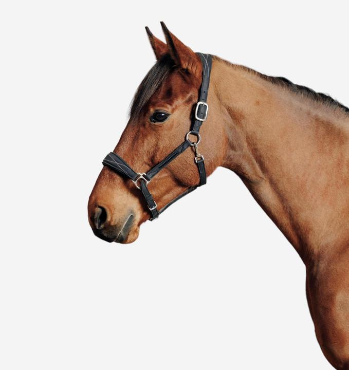 Fouganza Cavezza cavallo/pony in similpelle