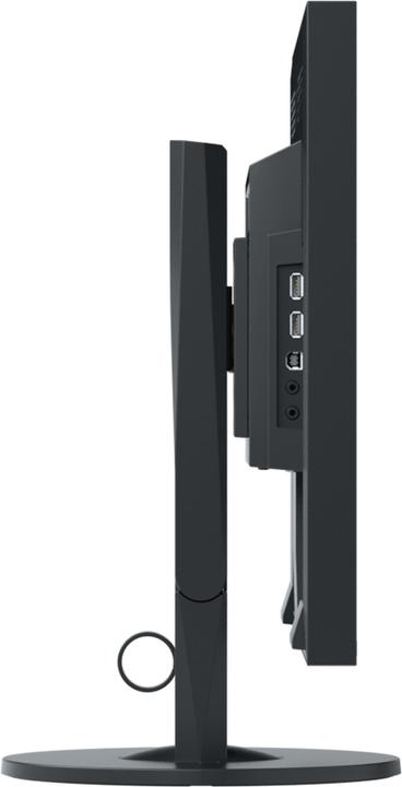 Actual product image Eizo EV2430 (1920 x 1200 pixels, 24")