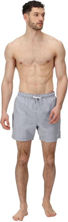 Actual product image Regatta Mens Loras Stripe Swim Shorts (XL)