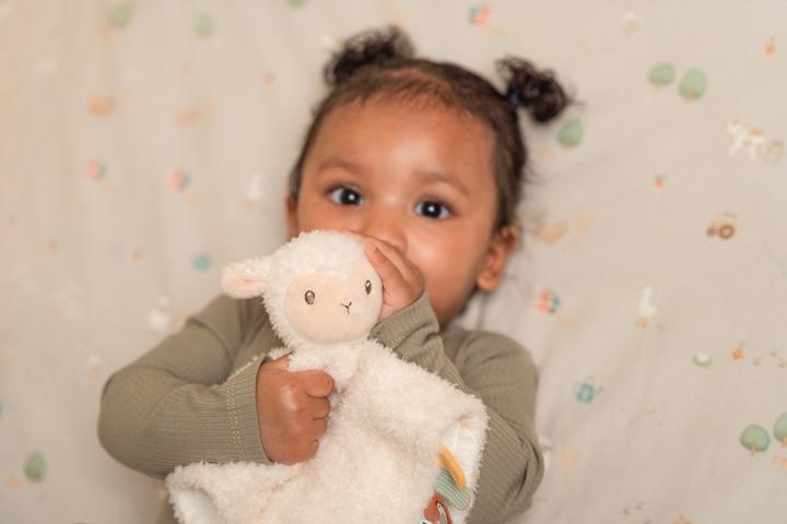 Actual product image Little Dutch Sheep