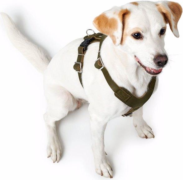 Actual product image Hunter Tableware Aalborg (Dog, Dog sport, General, Walks)