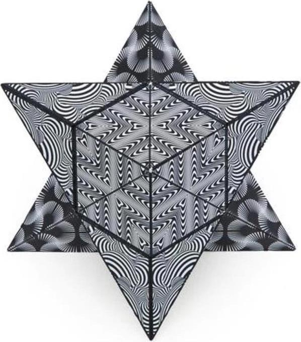 Produktbild Shashibo Magnetische Puzzlebox