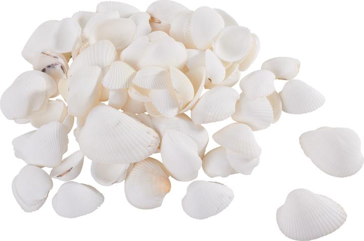 Produktbild Ambiance Technology Muscheln