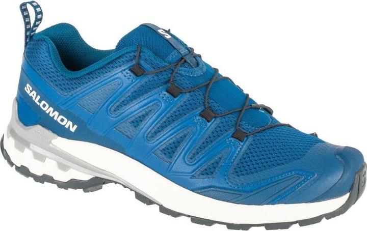 Actual product image Salomon Pro Laufschuhe (42)
