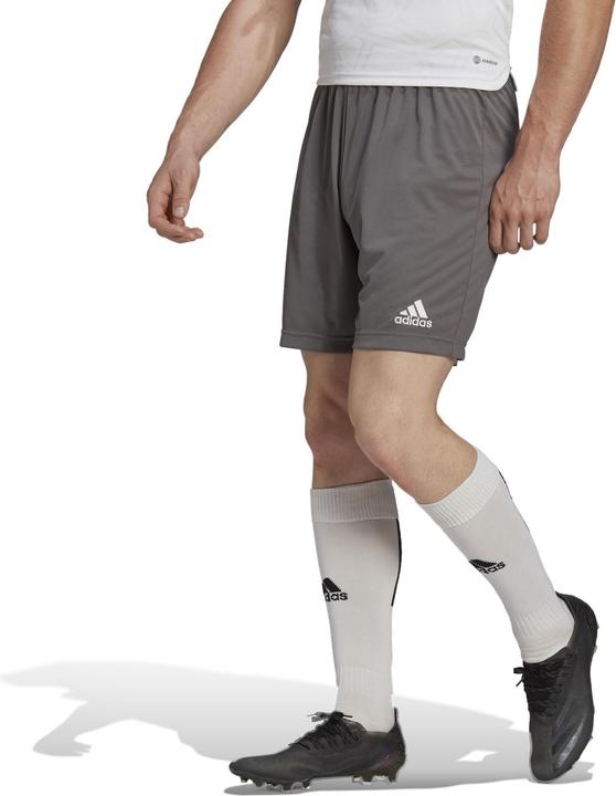 Produktbild adidas Entrada 22 Shorts Herren (XL)