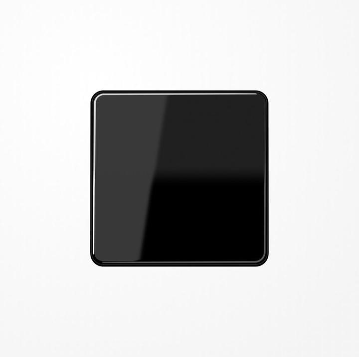 Actual product image JUNG Control element 1f bw CD with cover for dimming unit CD1700SW