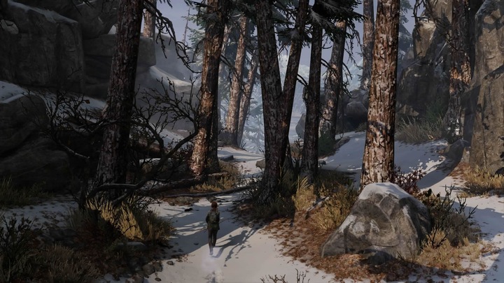 Produktbild Sony The Last of Us Remastered (PS4, IT)