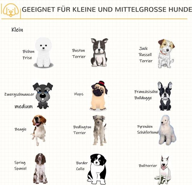 Immagine prodotto Swisshandel24 Gabbia per cani in legno Scatola da trasporto con design rialzato Scatola per cani Gabbia da (Cane)