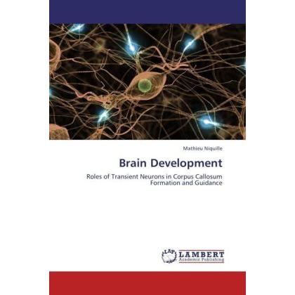Brain Development, Fachbücher