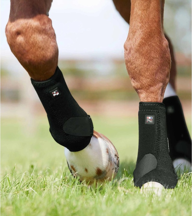 Actual product image Premier Equine horse gaiters preier equine air-tech sports edecine