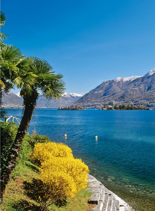 Immagine prodotto Swiss Planer 2026