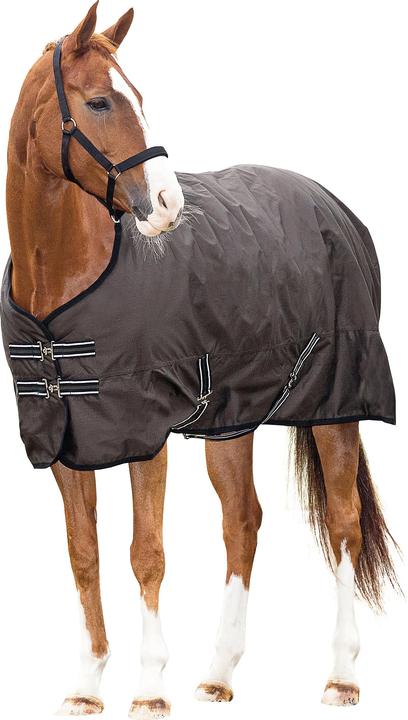 Produktbild Horse Guard 600D 400 g (165 cm)