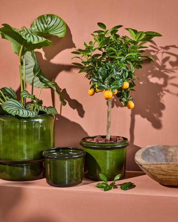 Produktbild House Doctor Planter, HDHoop, Green (19 x 18 cm)