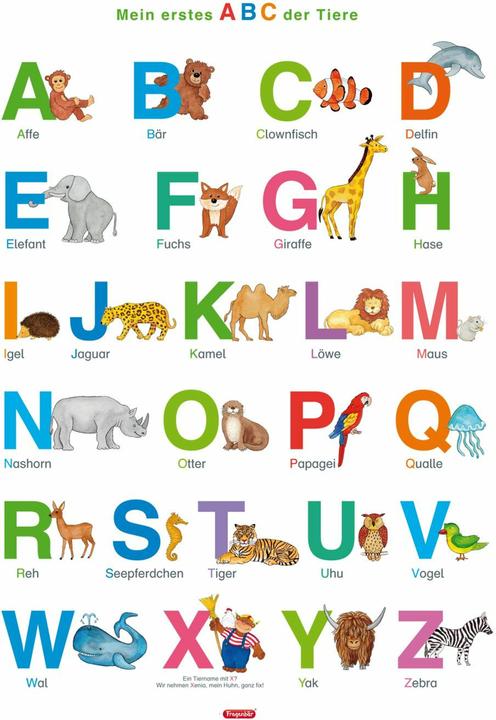 Actual product image Question Bear Learning Poster:My e.ABC d.Animal (German)