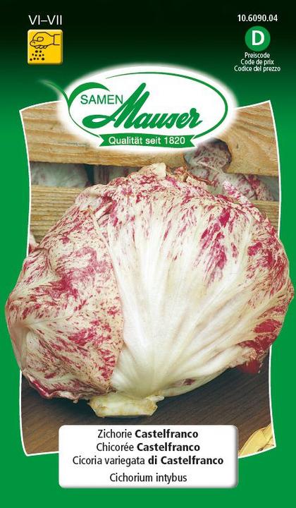 Immagine prodotto Samen Mauser Cicoria Castelfranco (Semi di verdura)
