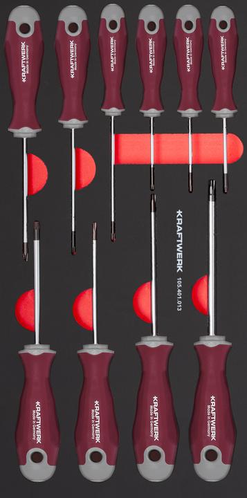 Kraftwerk Set di cacciaviti TX
