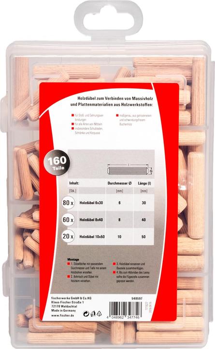 Actual product image Fischer EasyDIY Box wooden dowels (160 pcs.)