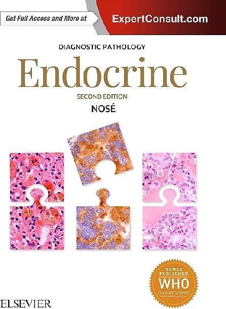 Produktbild Endocrine (Englisch)