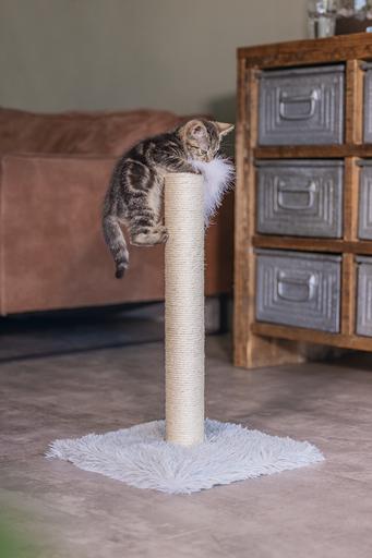 Produktbild Beeztees Kitten Kratzsäule Atila (53 cm, Grau)