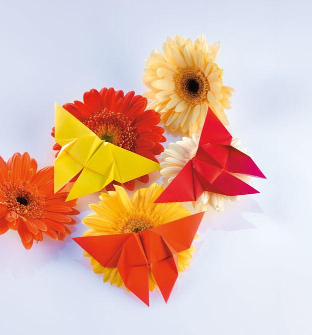 Immagine prodotto Origami per tutti (L'arte di piegare) (Tedesco, Armin Täubner)
