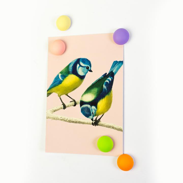 Produktbild Trendform Magnete JOY (5 x)