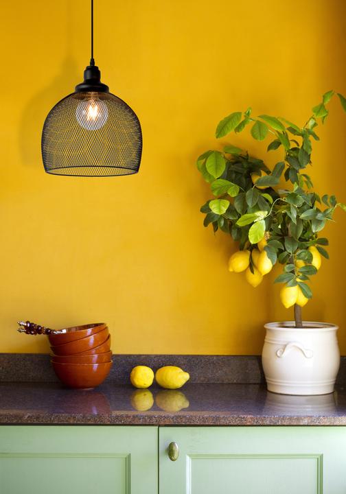 Actual product image Lucide mesh (E27)