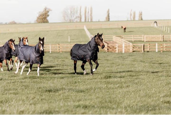 Produktbild Kentucky Horsewear Weidedecke Turnout Rug All Weather Quick Dry Fleece mit Halsteil 0g (160 cm)