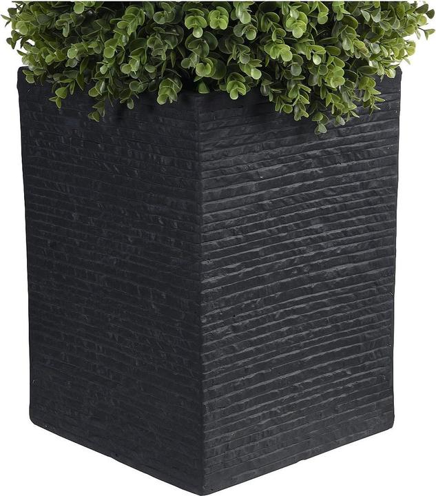 Immagine prodotto Ozaia Diava (66 cm)